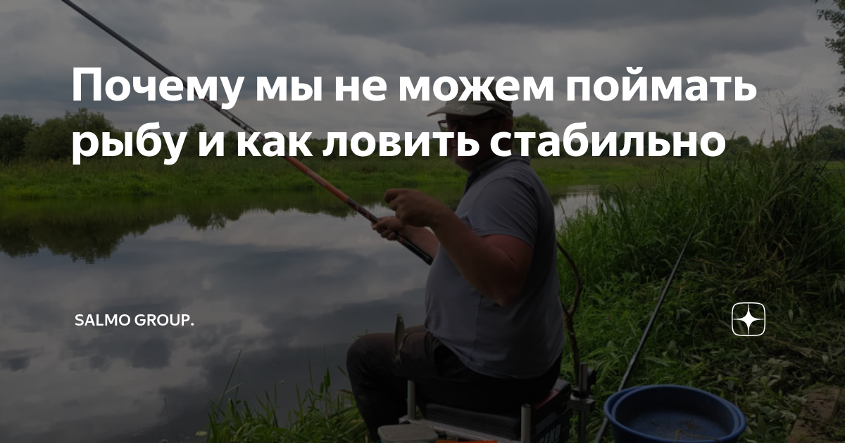 Почему мы не можем поймать рыбу и как ловить стабильно | Salmo Group ...