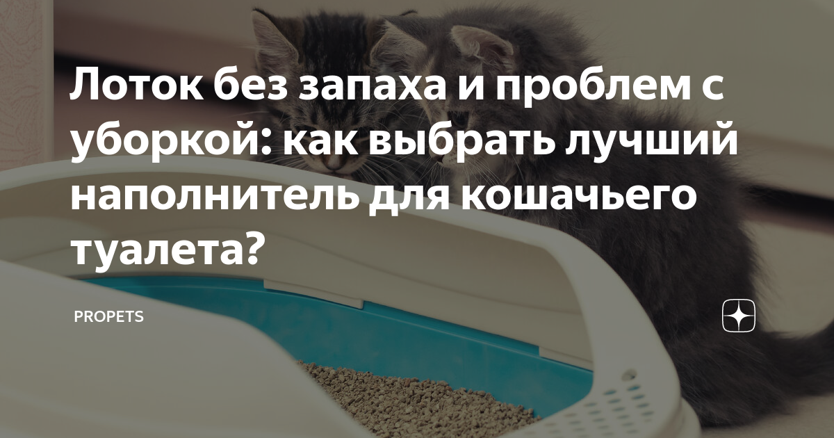 Как избавиться от запаха из кошачьего лотка? | VK