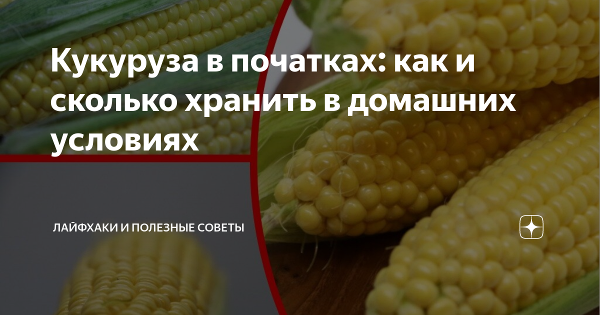 Сколько хранится вареная кукуруза в холодильнике