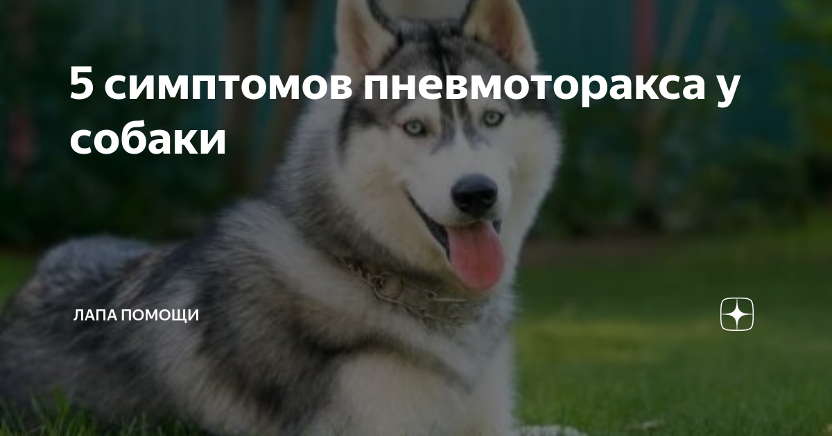 Глубокие вздохи и выдохи