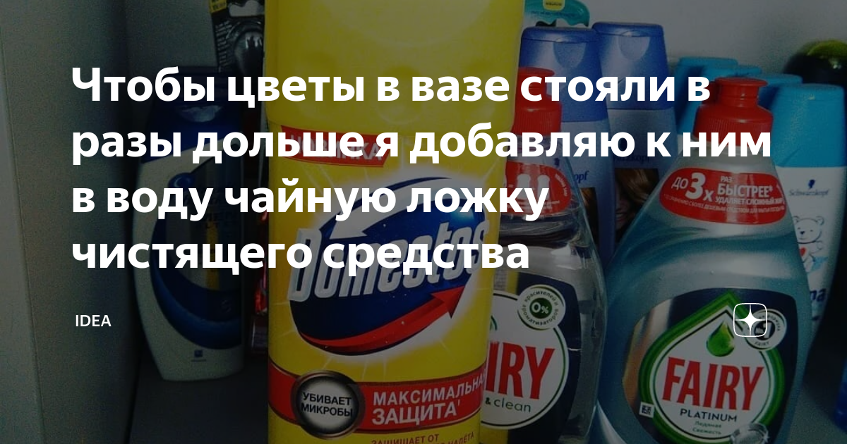 Почему цветы могут быстро вянуть