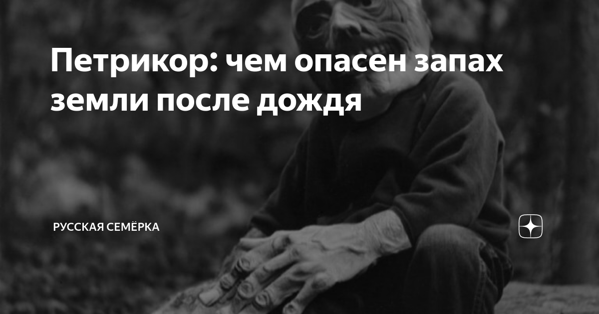 Чувствуется запах земли. Чувствуется запах земли