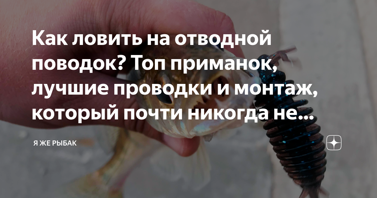 Как ловить на отводной поводок? Топ приманок, лучшие проводки и монтаж ...