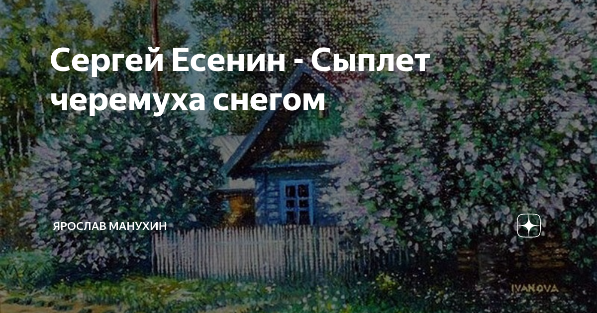 Основная мысль стихотворения сыплет черемуха снегом есенин. Сыплет черёмуха снегом Есенин. Пейзаж к стихотворению Есенина сыплет черемуха снегом.