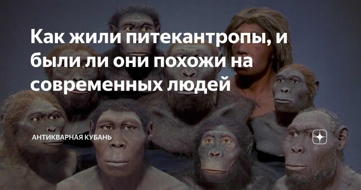 Как жили питекантропы, и были ли они похожи на современных людей |  Антикварная Кубань | Дзен