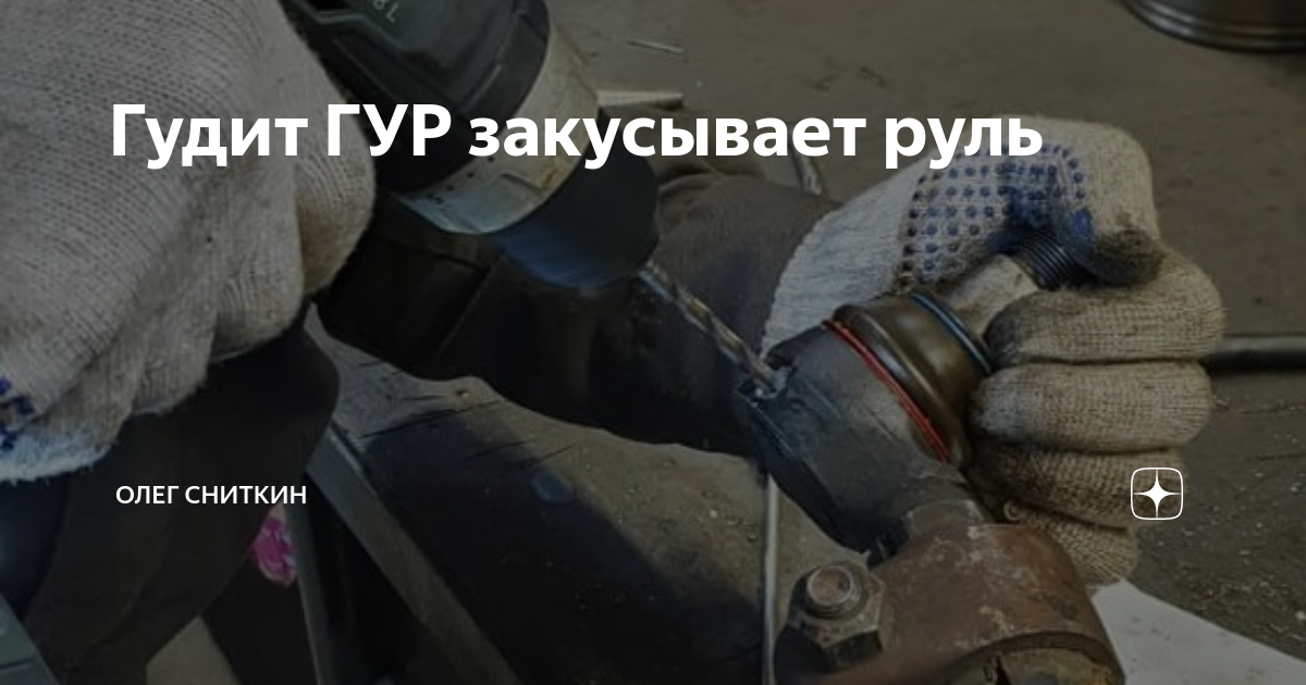 Закусывает гур