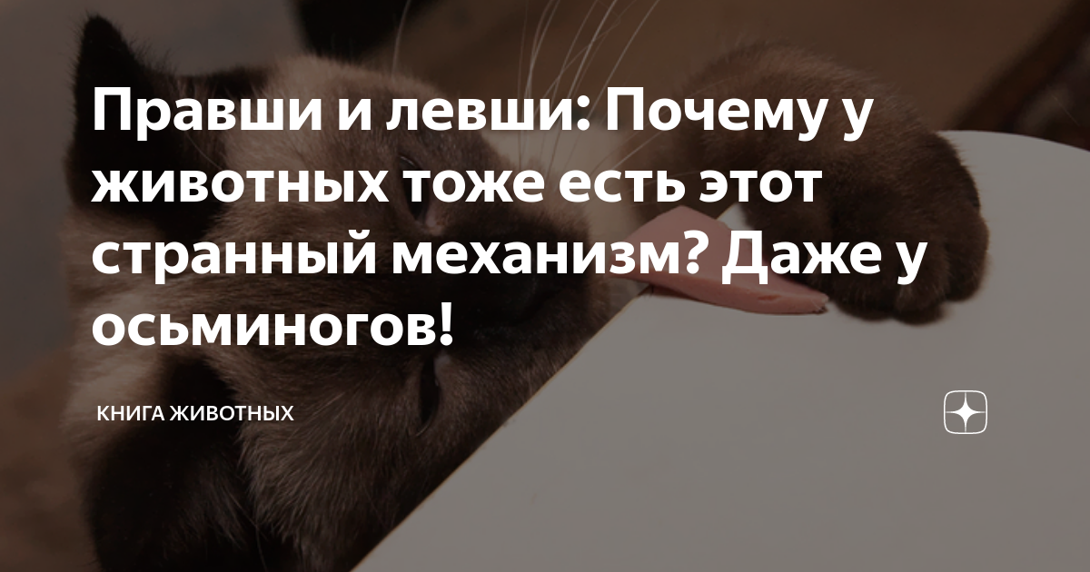 Почему левша не выиграл пари. С. Почему левша не выиграл пари. Лесков левша сюжет. Н с лесков сказ левша.