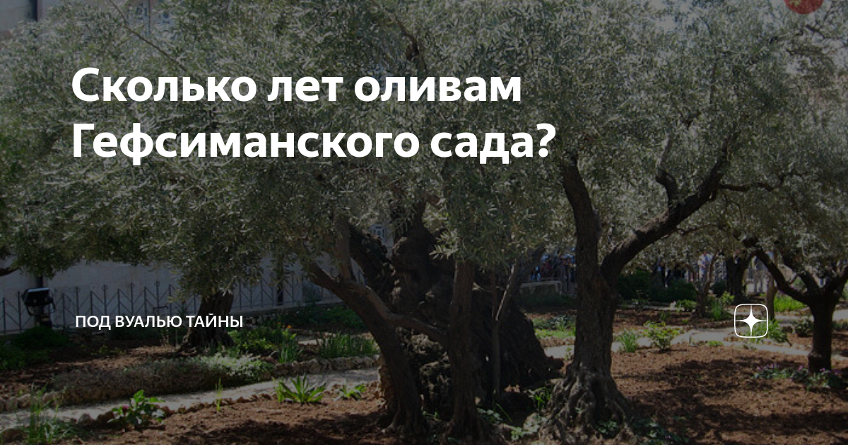 Сколько лет ванен. Сельские дома Израиля дзен