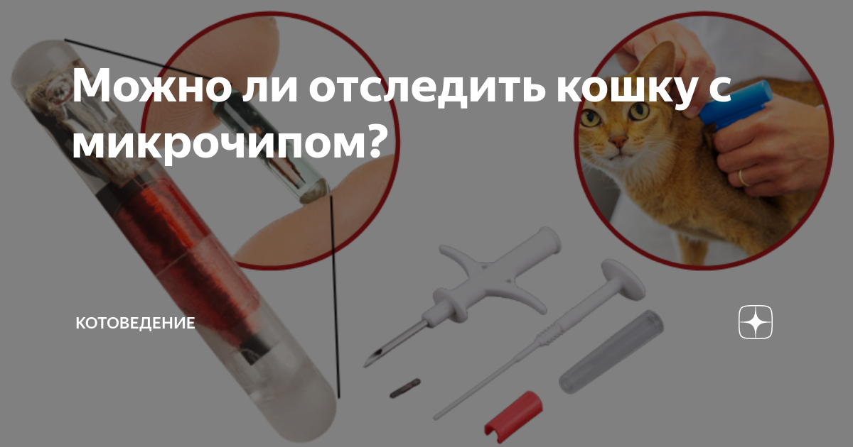 можно ли отследить самсунг с айфона