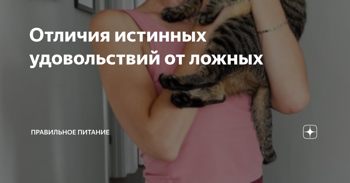 Отличия истинных удовольствий от ложных | Правильное питание | Дзен