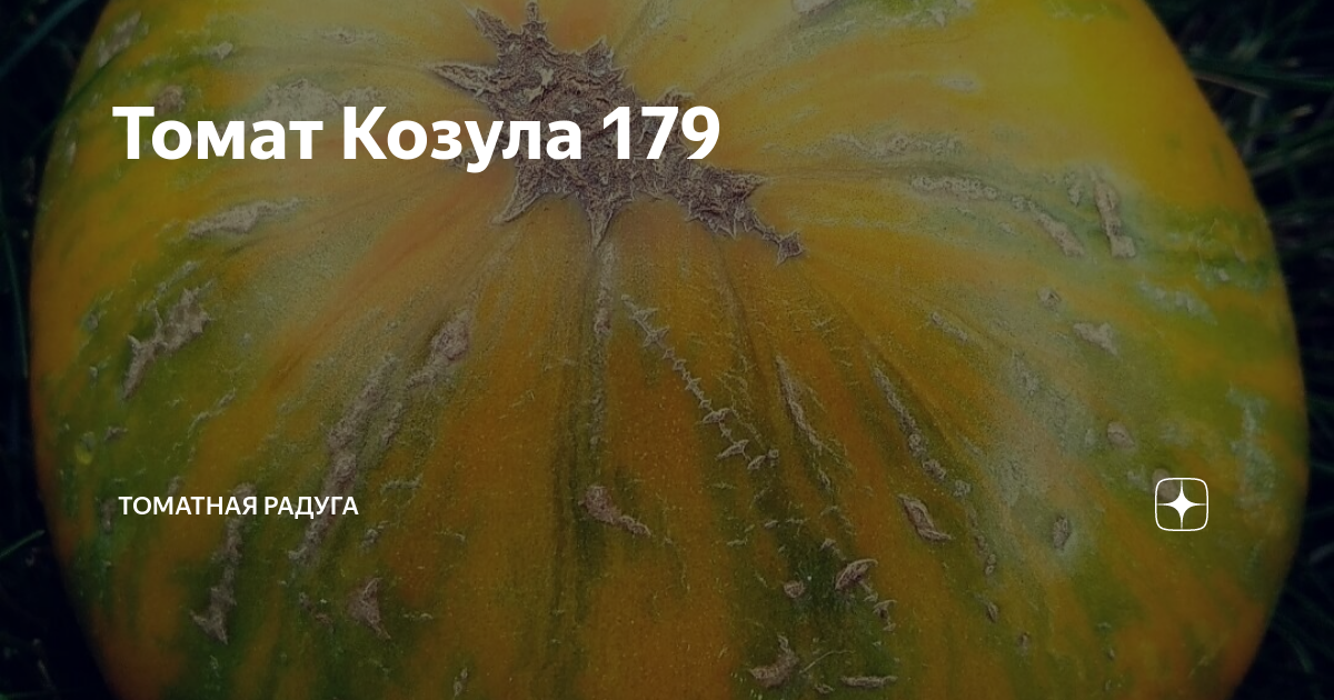 Козула 179 фото