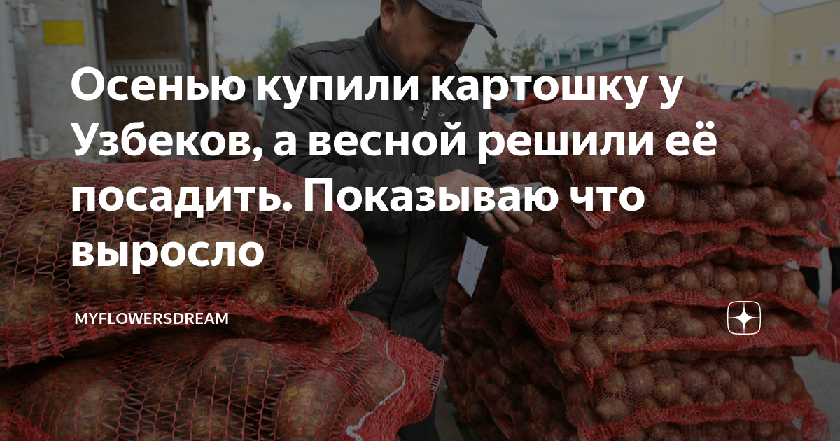 Заводские цвета оки