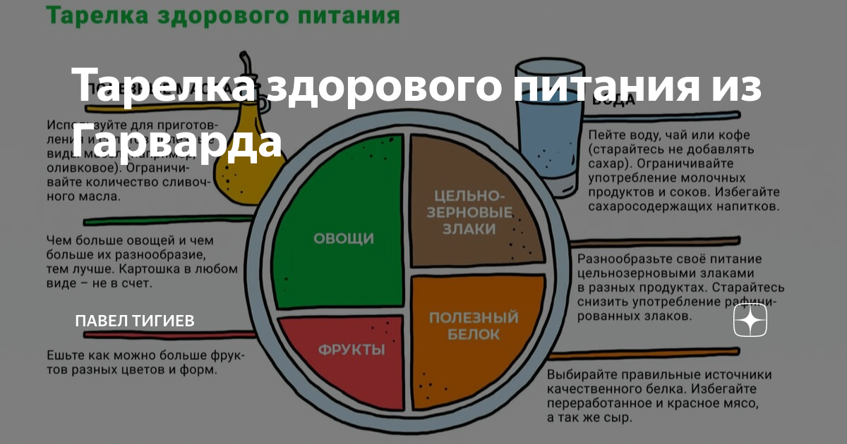 Гарвардская тарелка отзывы. Тарелка здорового питания из гарварда. Гарвардская тарелка здоровогпитания. Гарвардская тарелка отзывы. Тарелка здорового питания гарвардской школы.