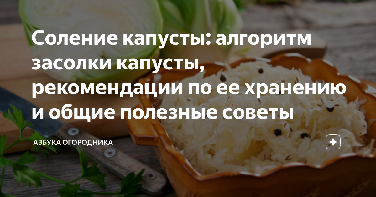 Засолка капусты февраль 2024 года. Засол капуста в шоколаде. Солю капусту составить предложение.