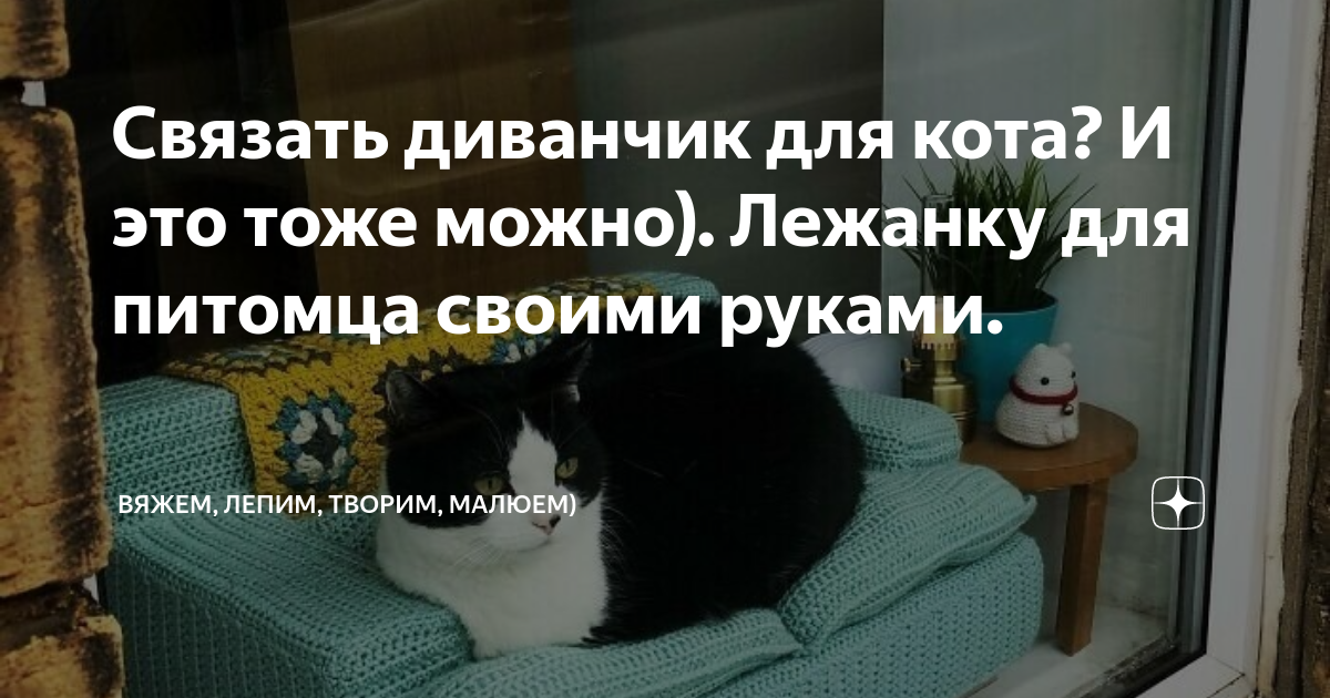 Связать кота на диван