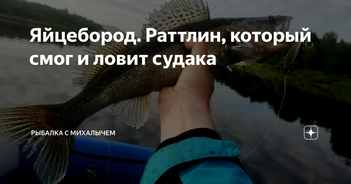 Яйцебород. Раттлин, который смог и ловит судака | РЫБАЛКА С МИХАЛЫЧЕМ ...