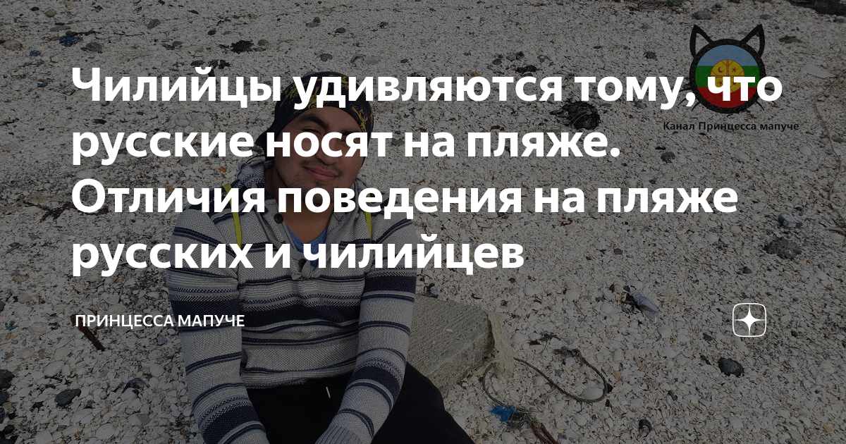 m.zen.yandex.ru