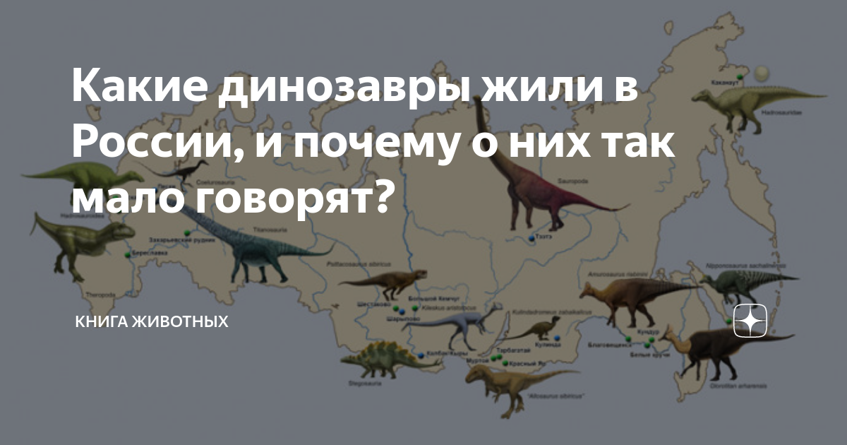 На какой территории жили динозавры. Динозавры на территории России. Динозавры жившие на территории России. Динозавры обитавшие в России. Где жили динозавры.