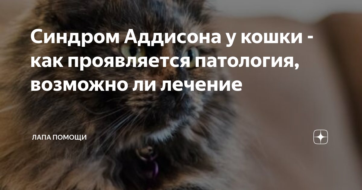 Ухудшение аппетита и потеря веса