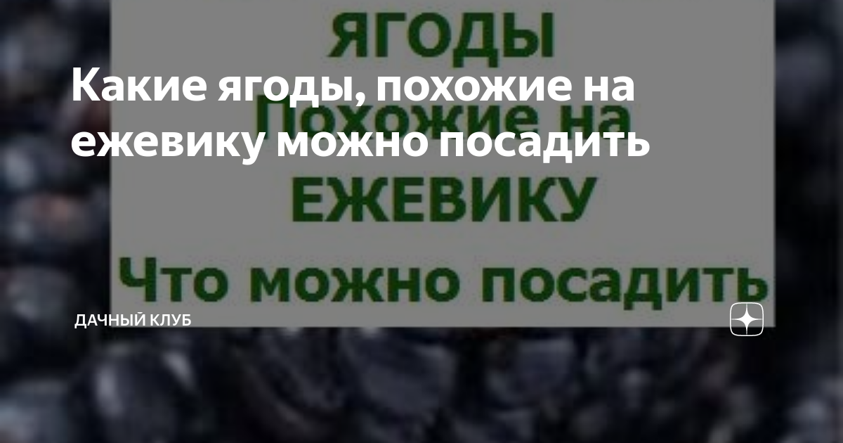 Большинство людей постоянно путают ежевику с шелковицей: как отличить одно от другого