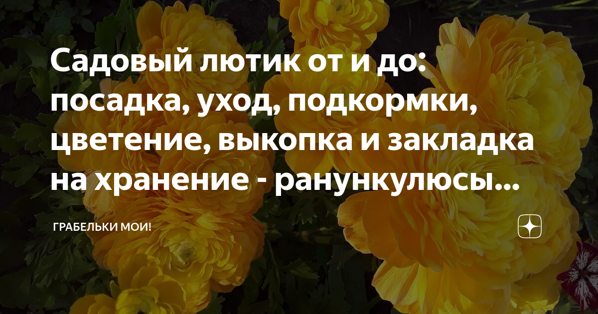 Садовнику надо посадить 16 луковиц и 11 луковиц лилий схема к задаче