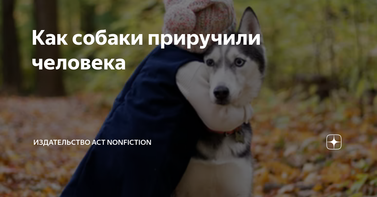 Я приручаю бешеную собаку бывшего