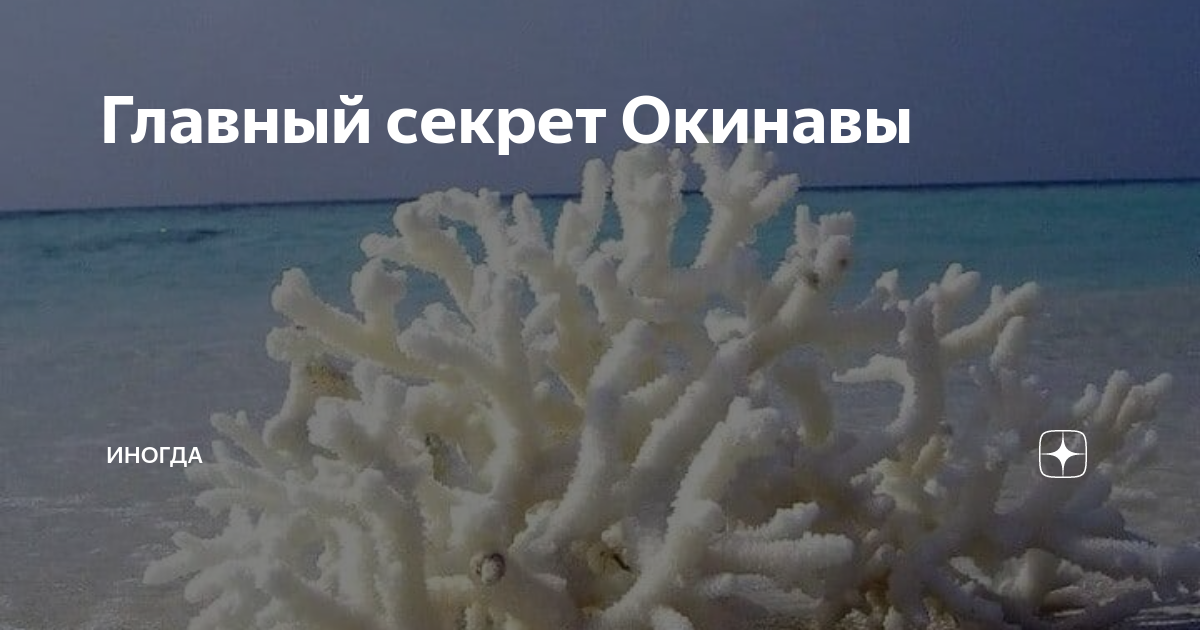 Главный секрет Окинавы | Иногда 🌍 | Дзен
