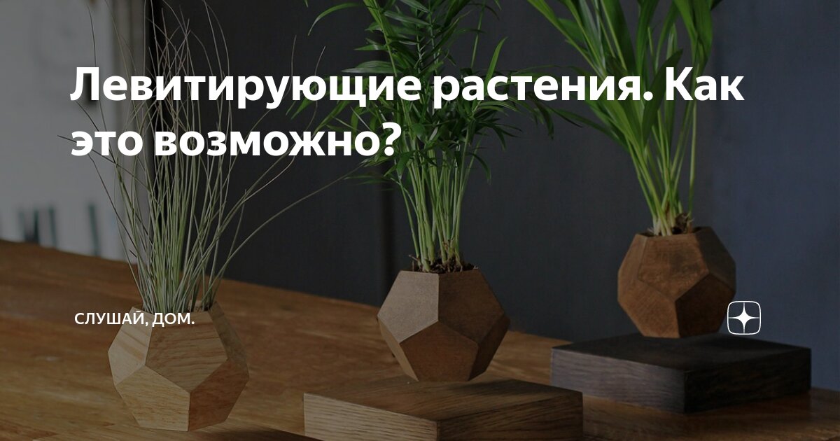 Левитирующий горшок для растений LePlant