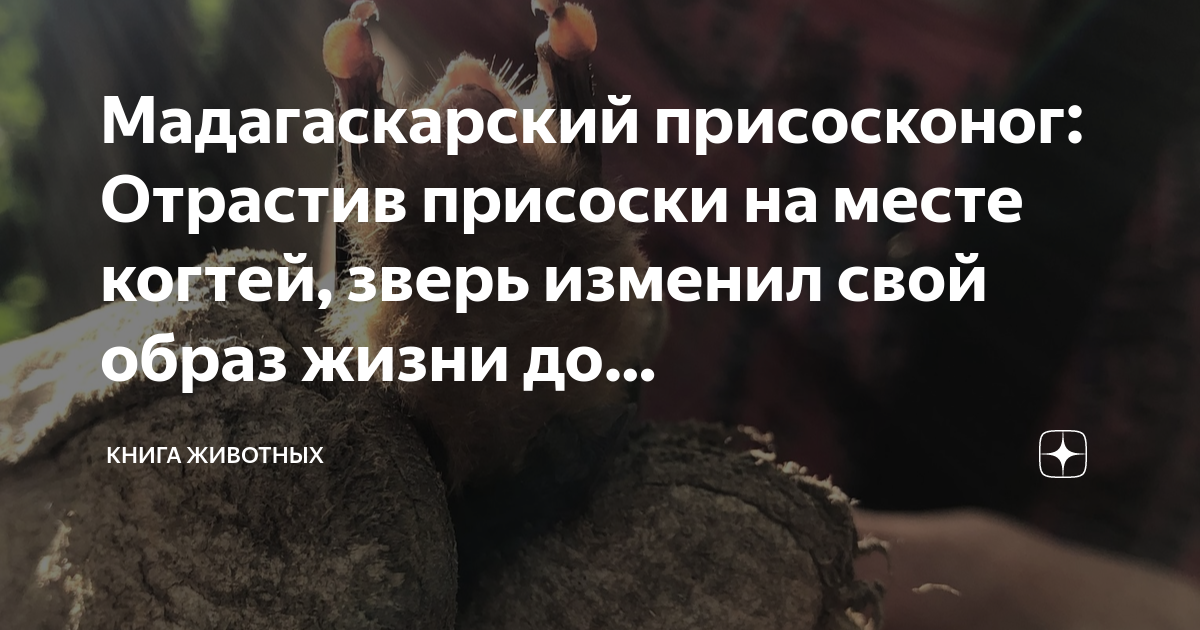 Измененный зверь сега. Статусы про людей тварей. Тварь изменяющая. Страшные монстры в реальной жизни. Измена мужа.