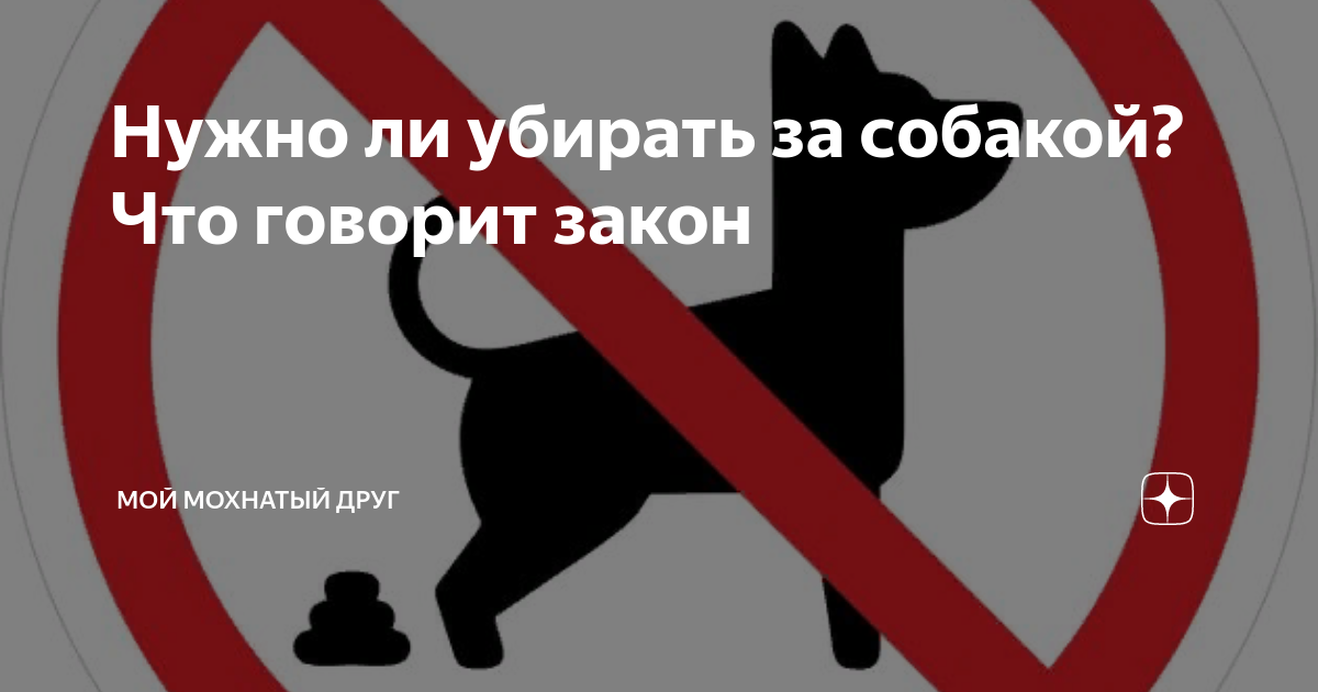 Обязаны ли убирать за собаками. Убирайте за собаками табличка. Табличка для собаководов. Таблички для собачников. Таблички для собачников.