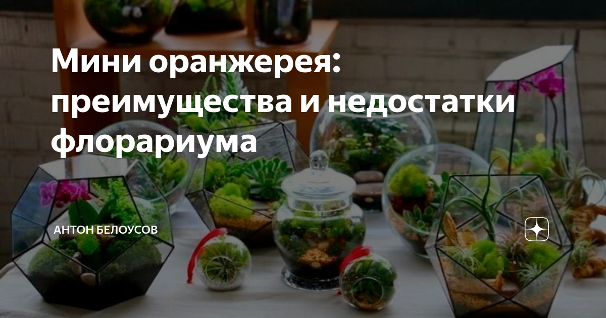 «Мини Оранжерея с прозрачной купольной…» — создано в Шедевруме