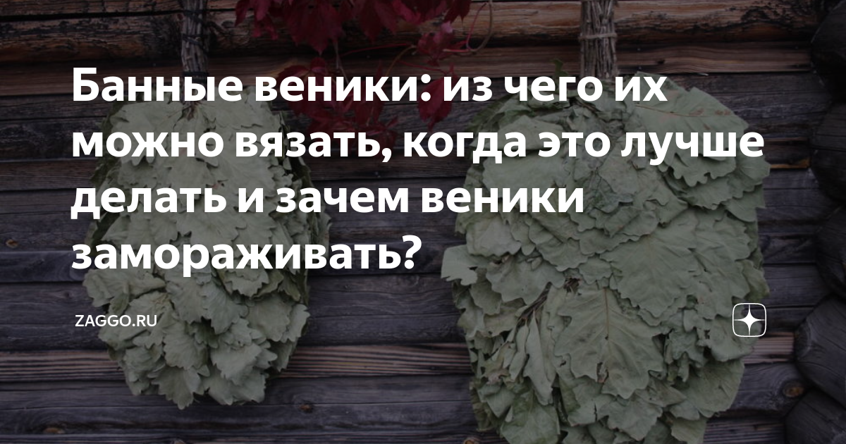 Банные веники: из чего их можно вязать, когда это лучше делать и зачем .