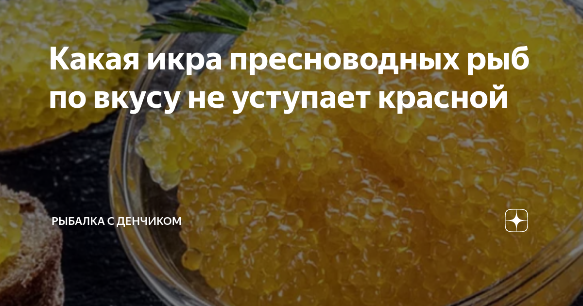 Какая икра пресноводных рыб по вкусу не уступает красной | Рыбалка с ...