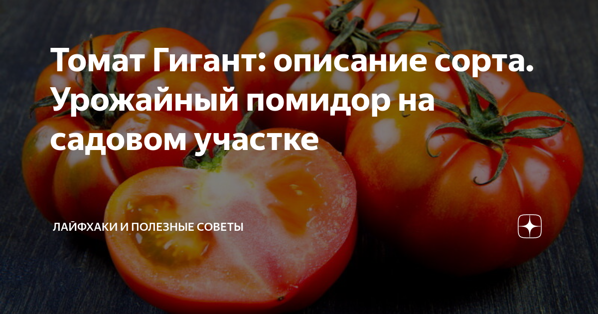 Характеристики сорта 