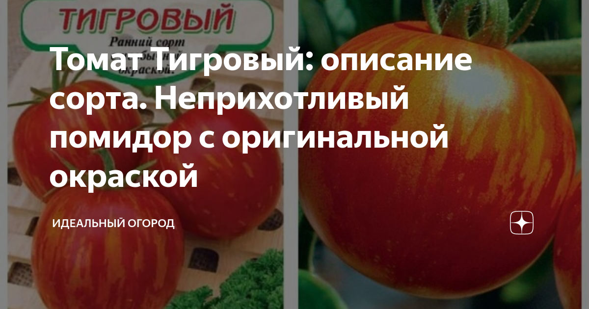 Основные заболевания и их профилактика