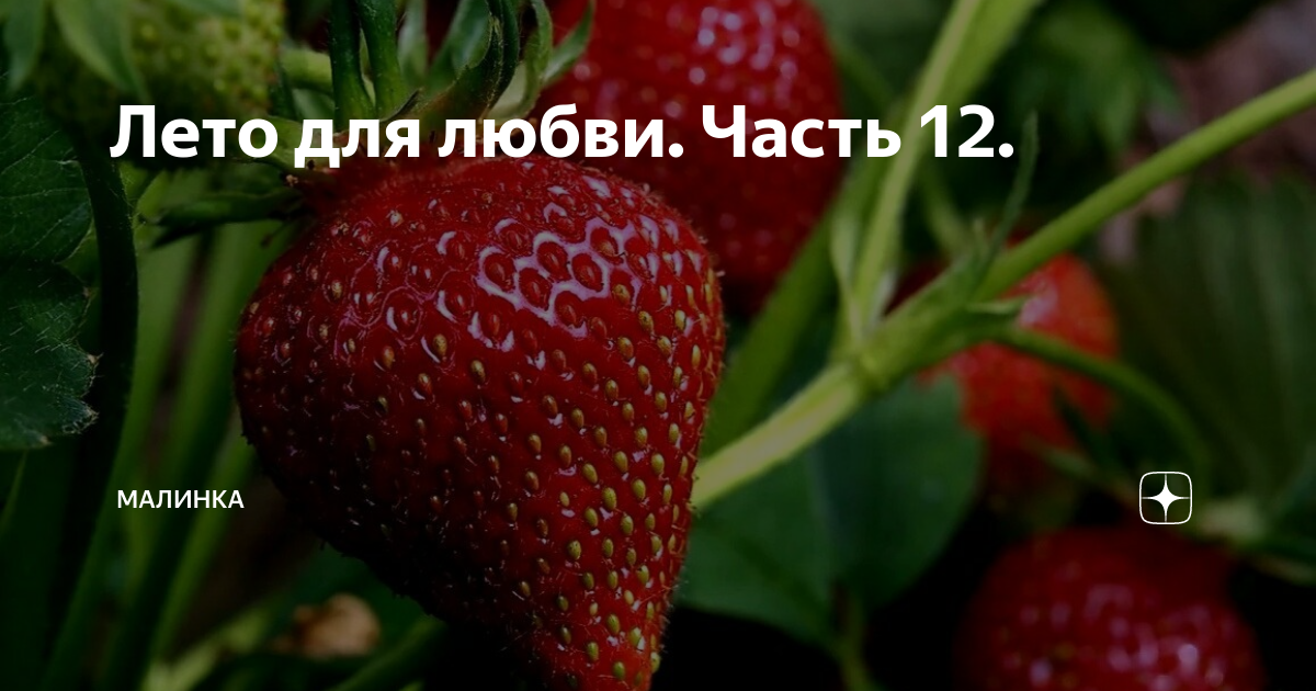 Лето для любви. Часть 12. | малинка | Дзен
