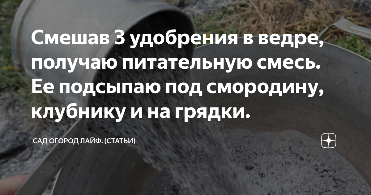 Смешав 3 удобрения в ведре, получаю питательную смесь. Ее подсыпаю под ...