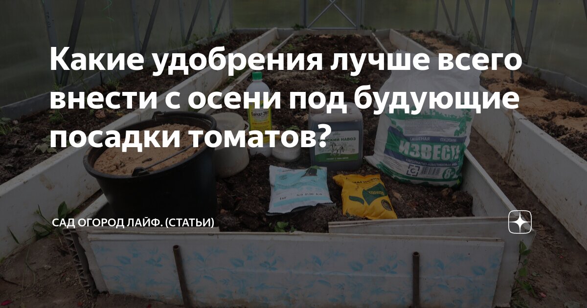 Какие удобрения лучше всего внести с осени под будующие посадки томатов ...