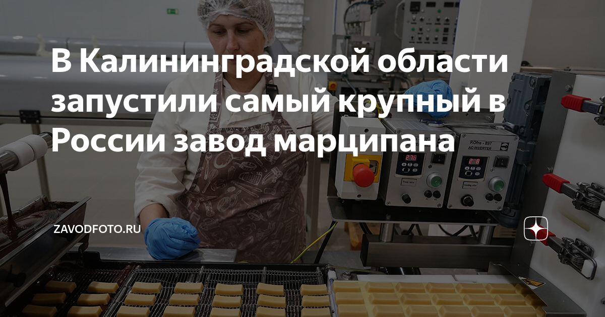 В Калининградской области запустили самый крупный в России завод ...