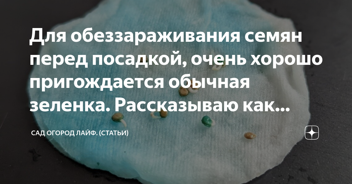 Для обеззараживания семян перед посадкой, очень хорошо пригождается ...