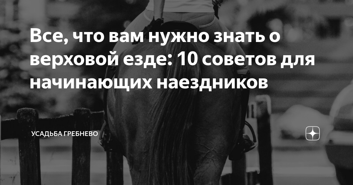 Все, что вам нужно знать о верховой езде: 10 советов для начинающих ...