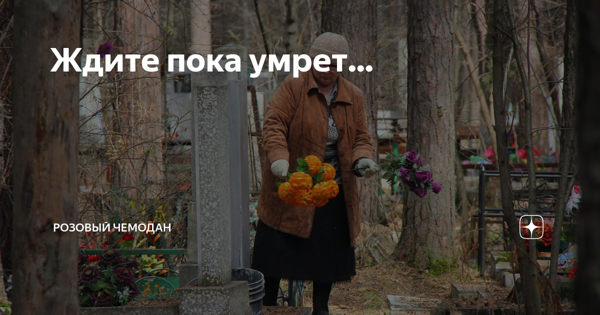 Каминг аут мем. Чемодан розовый zhongshan. Розовый чемодан дзен читать. Розовый чемодан дзен читать. Темно розовый чемодан в цветочек.