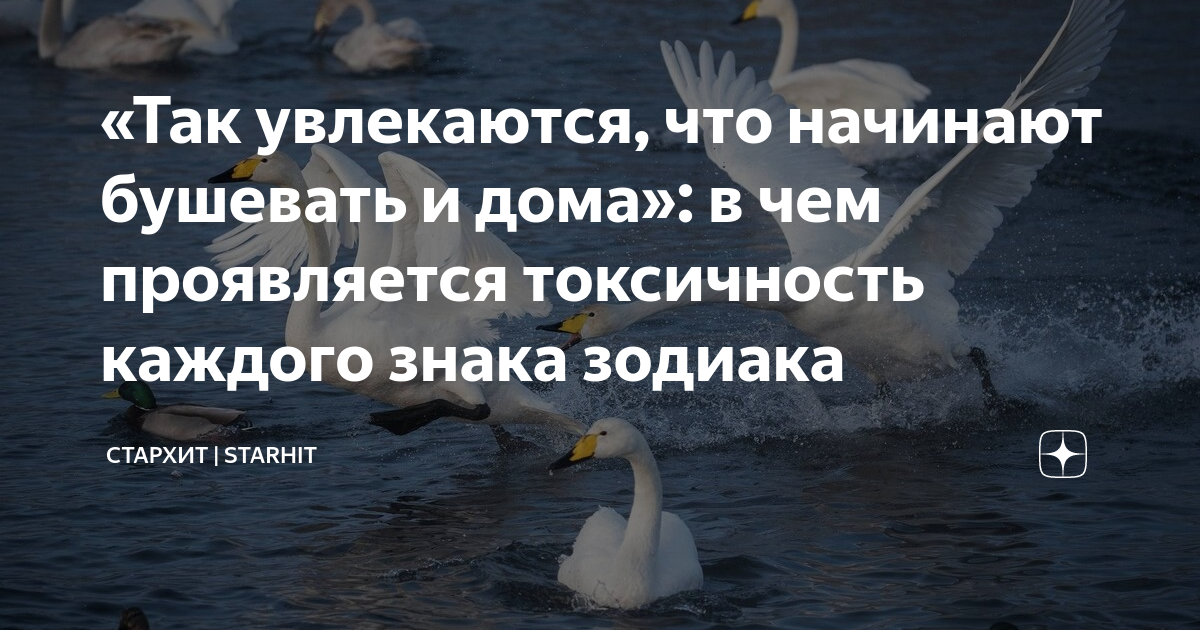 «Так увлекаются, что начинают бушевать и дома»: в чем проявляется ...