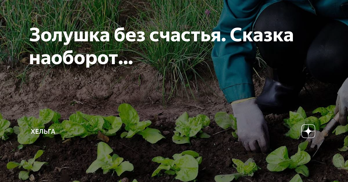 Золушка без счастья. Сказка наоборот... | Хельга | Дзен