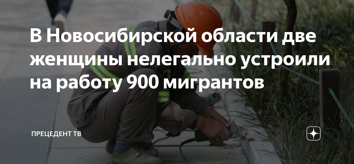 В Новосибирской области две женщины нелегально устроили на работу 900