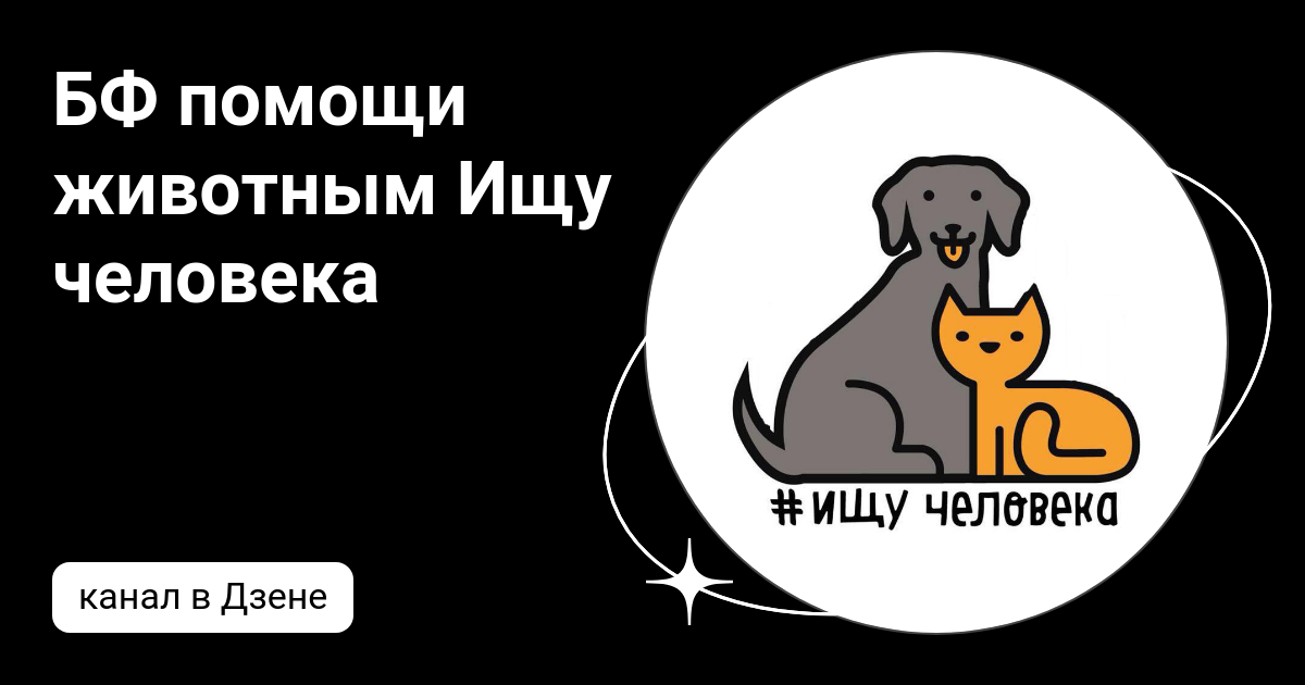 Щенячий ангел благотворительный фонд помощи бездомным животным. Благотворительный фонд животных. Акция для бездомных животных. Благотворительная акция для животных приюта. Щенячий ангел благотворительный фонд помощи бездомным животным.