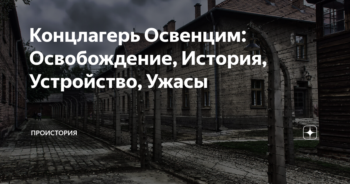 Концлагерь Освенцим: Освобождение, История, Устройство, Ужасы ...