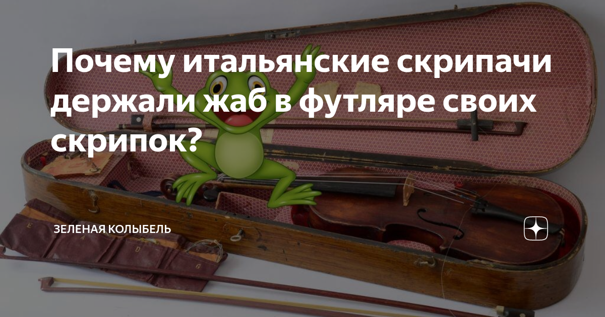 Почему итальянские скрипачи держали жаб в футляре своих скрипок?