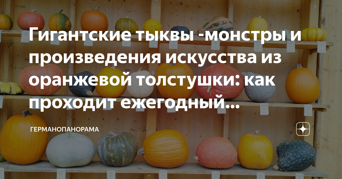 тыквенный фестиваль в людвигсбурге
