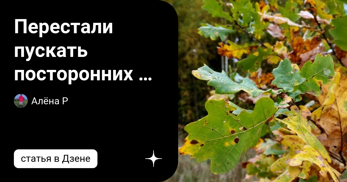 Перестали пускать посторонних на ферму после этого случая | Алёна Р | Дзен